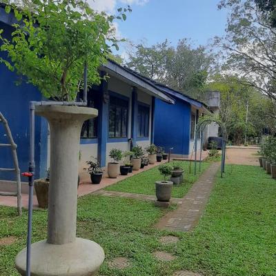 140575172 102527565184479 5959708792018055079 N