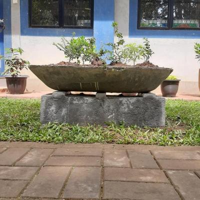 140877073 102527518517817 1368774887496904508 N