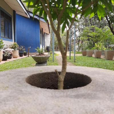 140918662 102527681851134 8695747850214375512 N