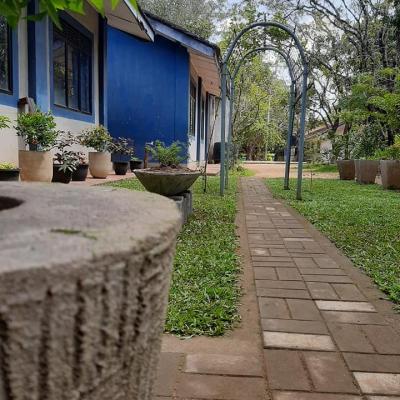 141010415 102527701851132 8001134866598223770 N