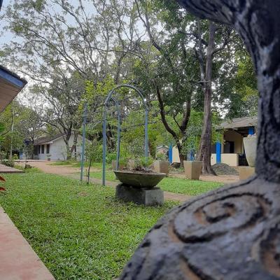 පාසල් පරිසරය