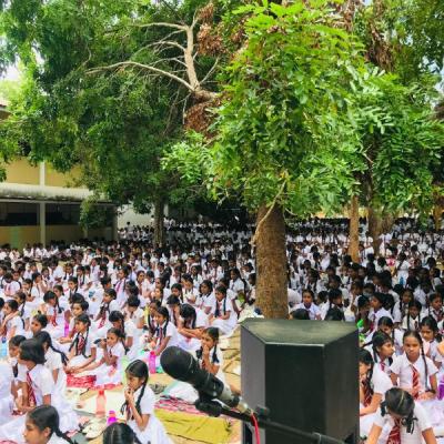 9f14e9b7 Dc03 4341 B91e 4a673635e053