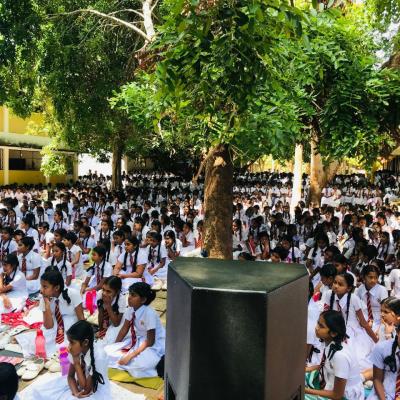 Acec40b9 653a 4a34 B648 E0be1b38913b